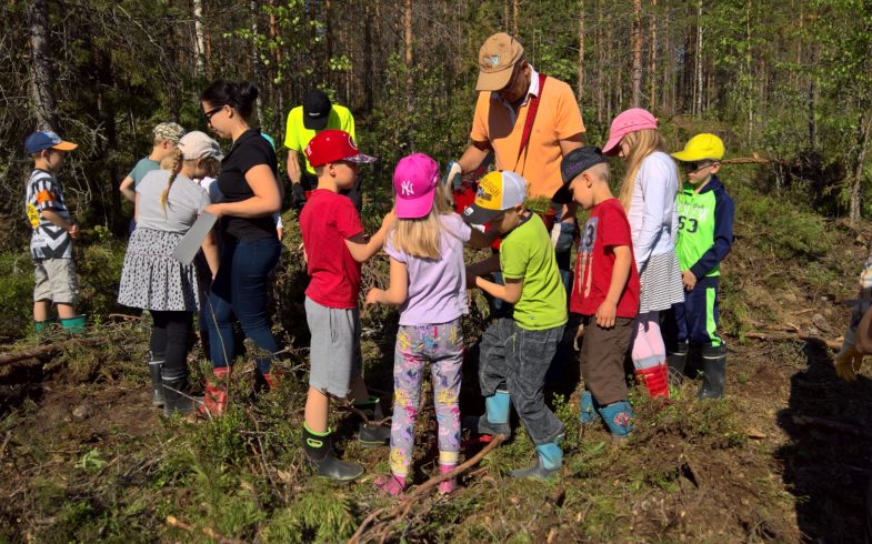 ”Taipalsaaren koululaisten oman metsän hiilinielu” teeman toteutus huhti-toukokuun vaihteessa.